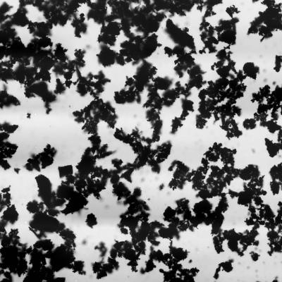 Activated carbon Manufacture wide application high quality