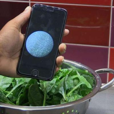 Scientists developing new low cost tool for detecting bacteria in food and water