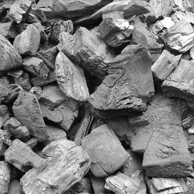 World Largest Activated carbon supplier Manufactures