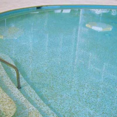 Algaecide Chemicals supplier, Manufacturer , Distributor  in chennai - Ennore India Chemical