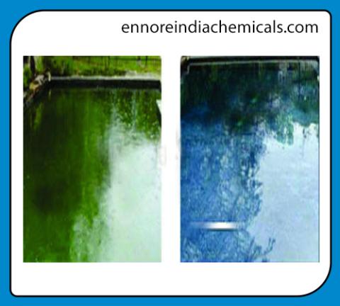 Algaecide