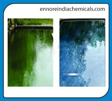 Algaecide