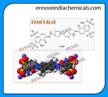 EVAN'S BLUE