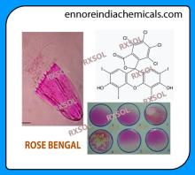 ROSE BENGAL