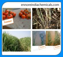 AGRISOL B 15